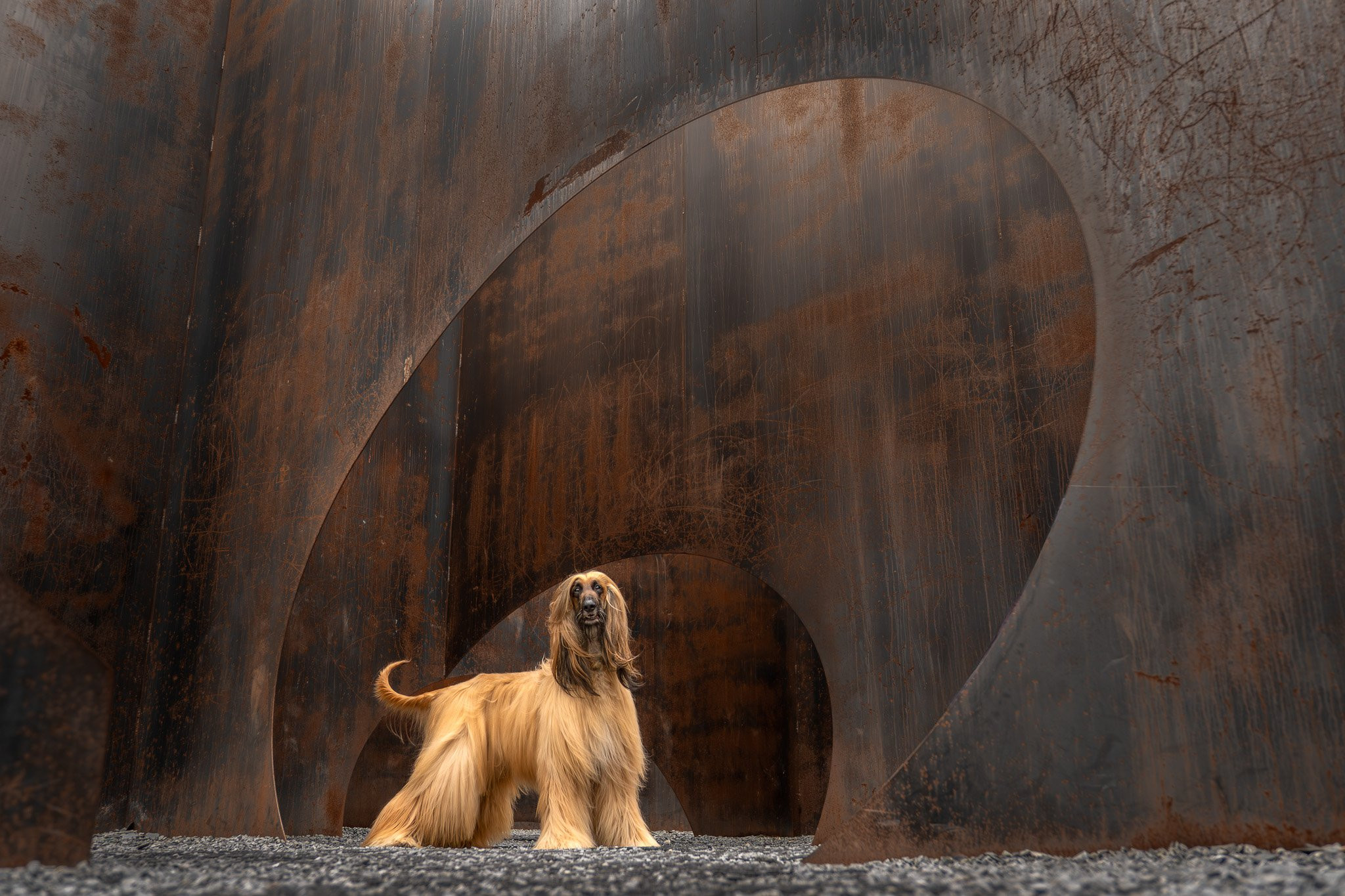 Slide Claudia Van Berkel